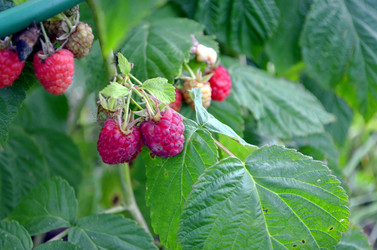 Similar image 22348344