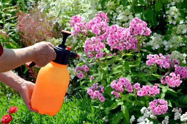 Similar image 22348355