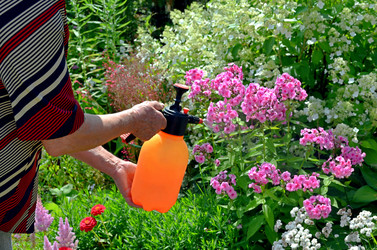 Similar image 22348356