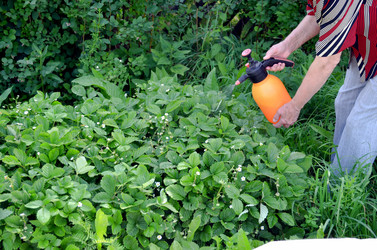 Similar image 22348359