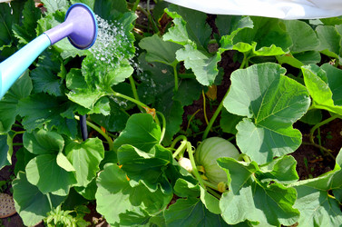 Similar image 22348362