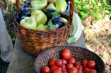 Similar image 22348373