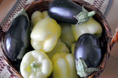 Similar image 22348374