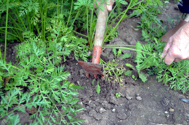 Similar image 22348379