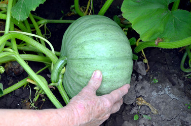 Similar image 22348380