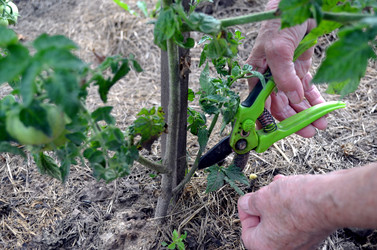 Similar image 22348381