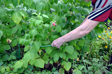 Similar image 22348382