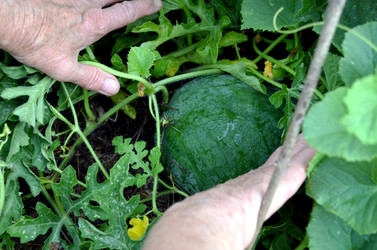 Similar image 22348383