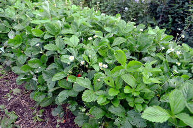 Similar image 22348384