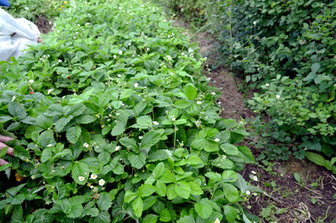 Similar image 22348385