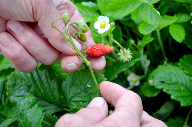 Similar image 22348386