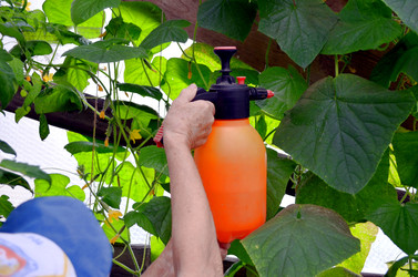 Similar image 22348387