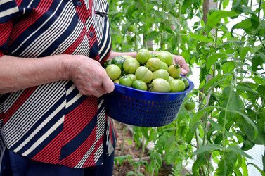 Similar image 22348388