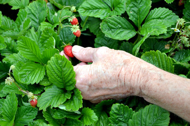 Similar image 22348390