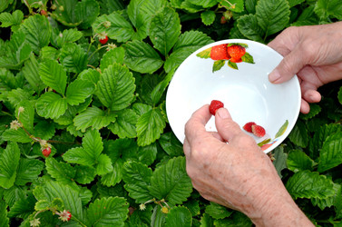 Similar image 22348391