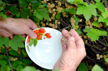 Similar image 22348393