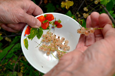 Similar image 22348394