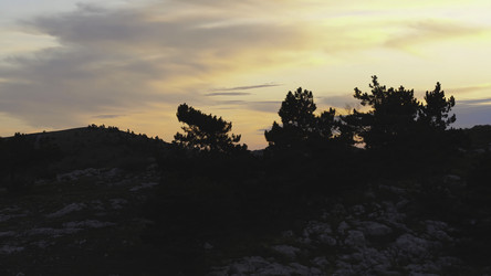 Similar image 22369205