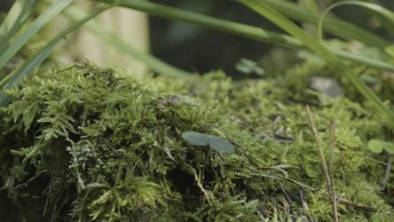 Similar image 22369520