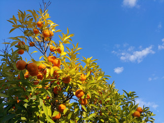 Similar image 22348453