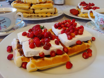 Similar image 22348454