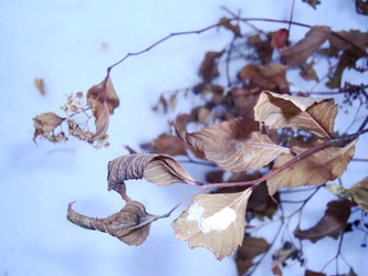 Similar image 22348456