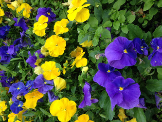 Similar image 22348460