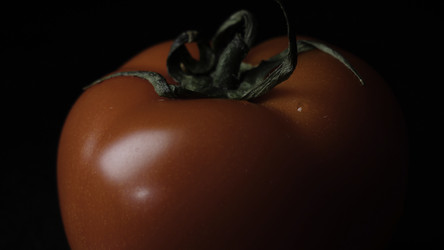 Similar image 22370515