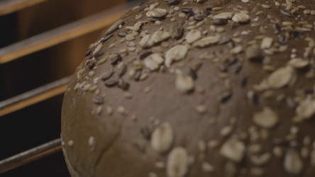 Similar image 22363398