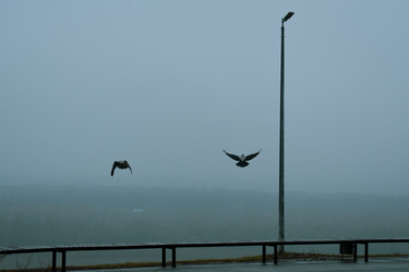 Similar image 22351287