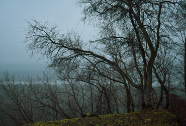 Similar image 22348472