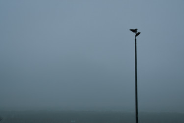 Similar image 22348473