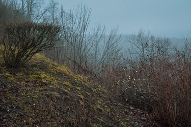 Similar image 22348475