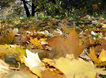 Similar image 22352611