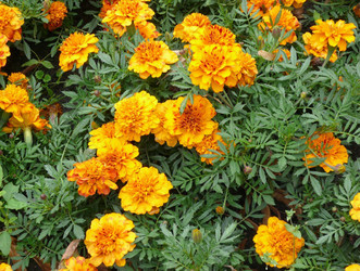 Similar image 22352633