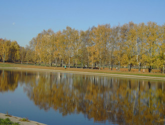 Similar image 22379377