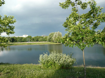 Similar image 22379409