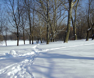 Similar image 22379439