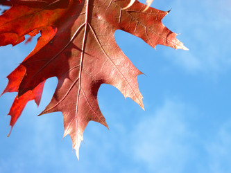 Similar image 22379467