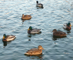 Similar image 22379480