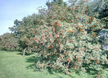 Similar image 22379525