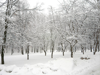 Similar image 22379543