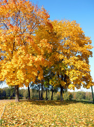 Similar image 22379574