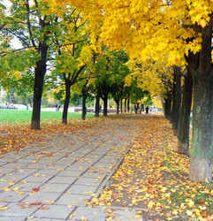 Similar image 22379589