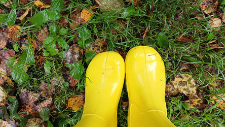 Similar image 22357793