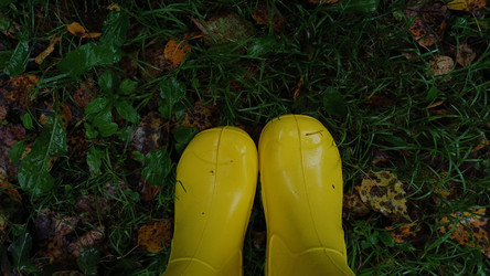 Similar image 22357795