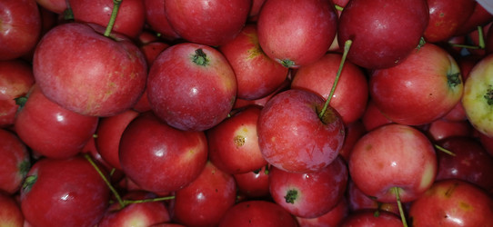 Similar image 22357804