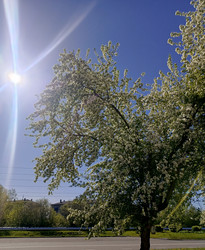 Similar image 22357856