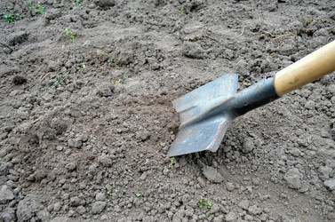 Similar image 22348270