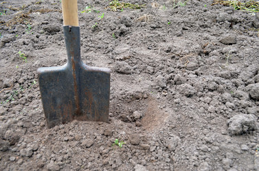 Similar image 22348271